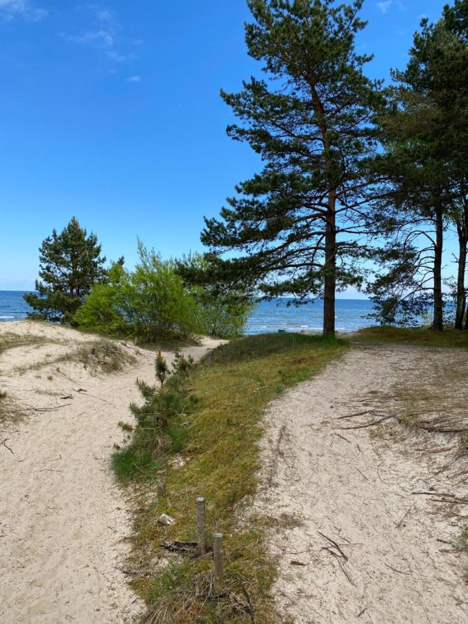 Brivdienu Maja Riekstnieki Plieņciems Zewnętrze zdjęcie